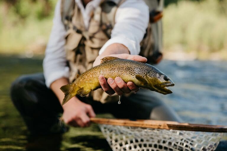 Close up picture of a person holding a fish with a net underneath.