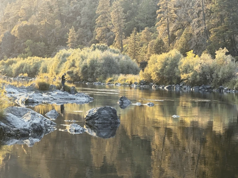 A calm river with small rocks along the shores. The reflection of the trees surrounding the river is clear in the water. One person stands on the shore with a fishing pole.