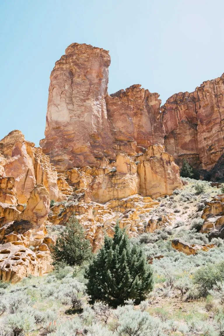 Landscape of large rock walls and pinnacles in the background Green trees and shrubs in the foreground.