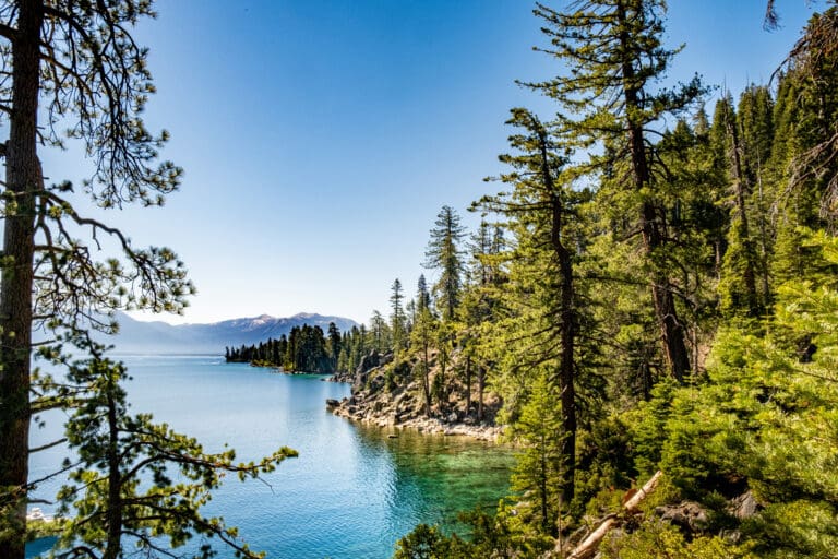 Shoreline of a lake with crystal clear water Green forest on the shore and big snowy mountains in the distance.