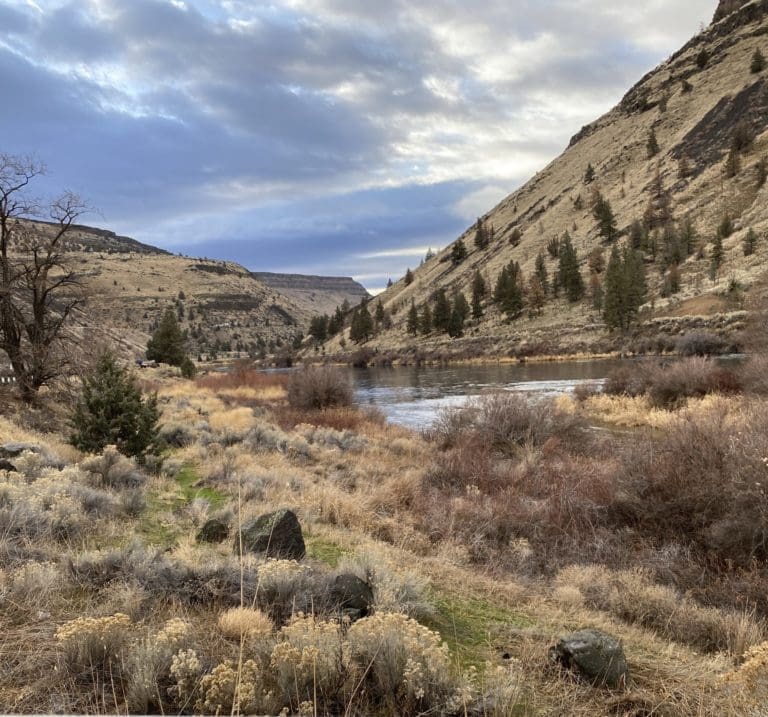 A scenic photo of a calm river with a canyon in the background and shrubs in the foreground.