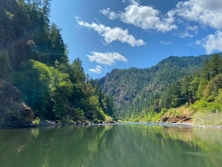 A calm river in a beautiful green canyon.