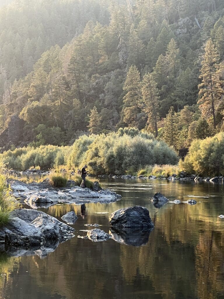 A person standing on the banks of a calm river holding a fishing pole. Green trees and shrubs are in the background.