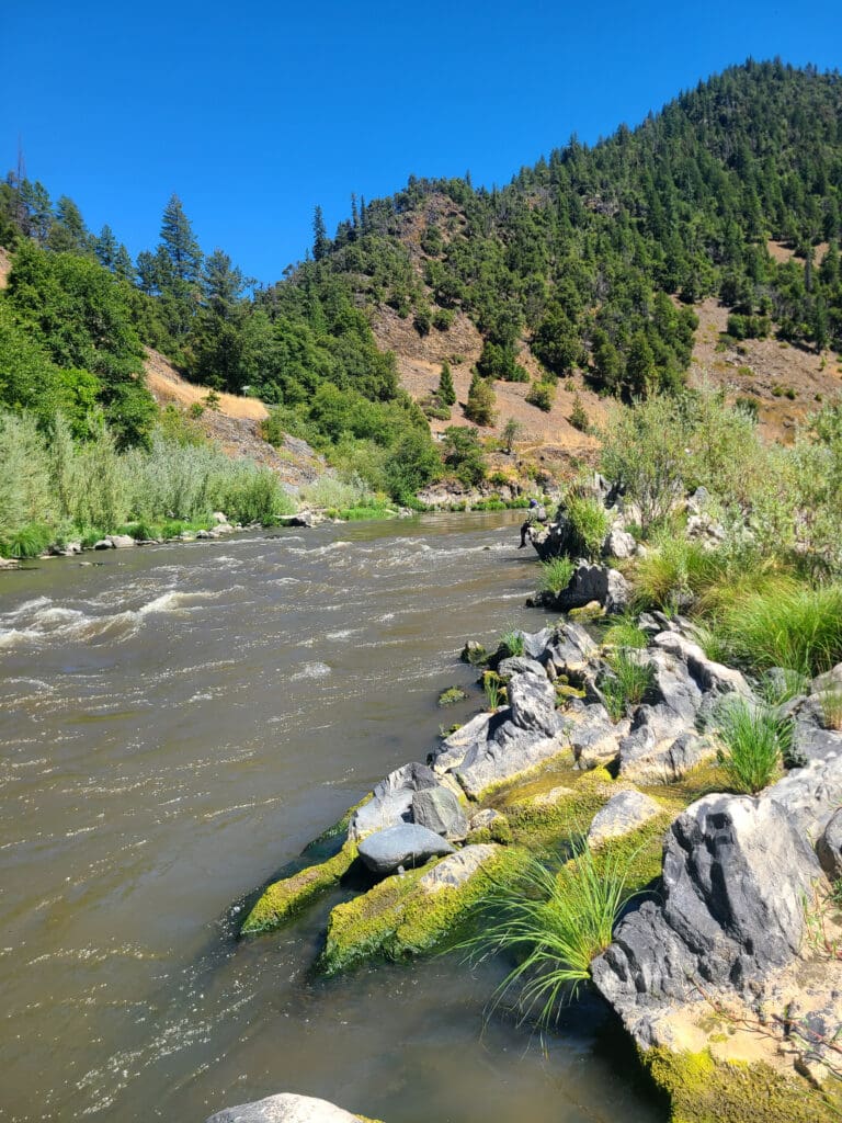 A river with small whitewater rapids winding through a colorful lush canyon.