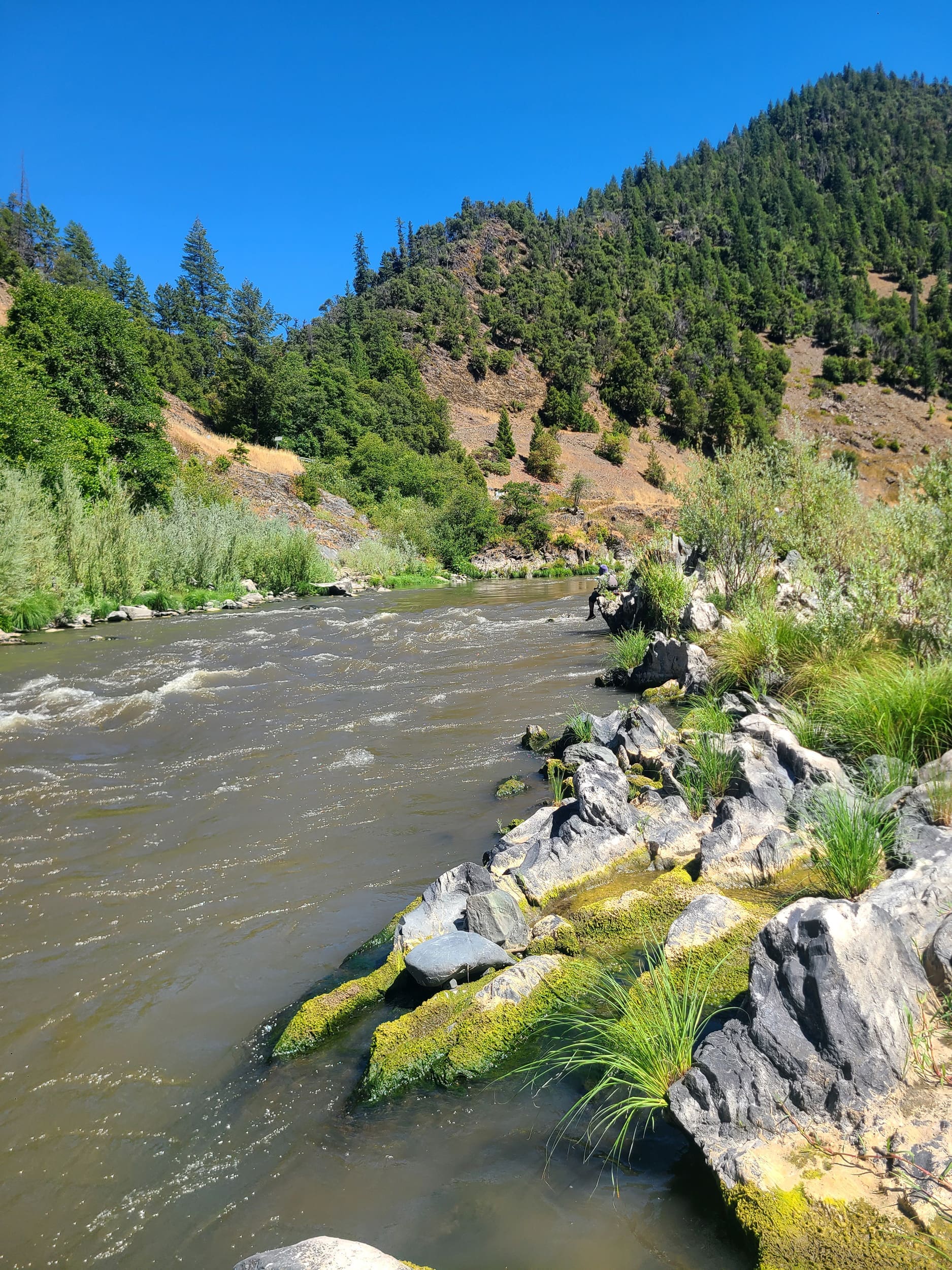 A river with small whitewater waves with rocks, green shrubs and green trees surrounding it.